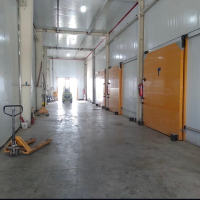 چرا نیکان پردیس تاکستان بهترین انتخاب است