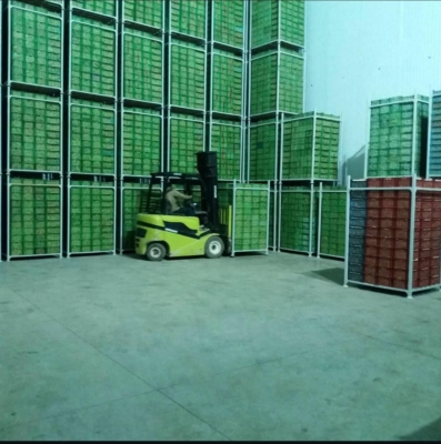 معرفی مجموعه نیکان پردیس تاکستان